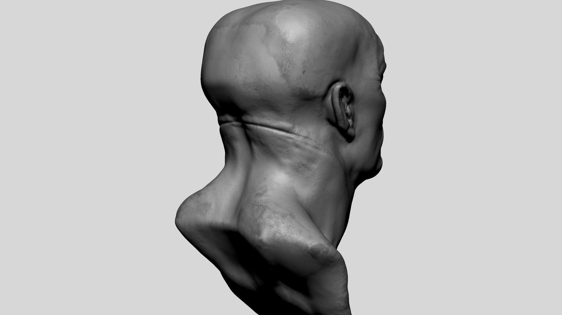 Fantasy Creature Head v11 3D model_3