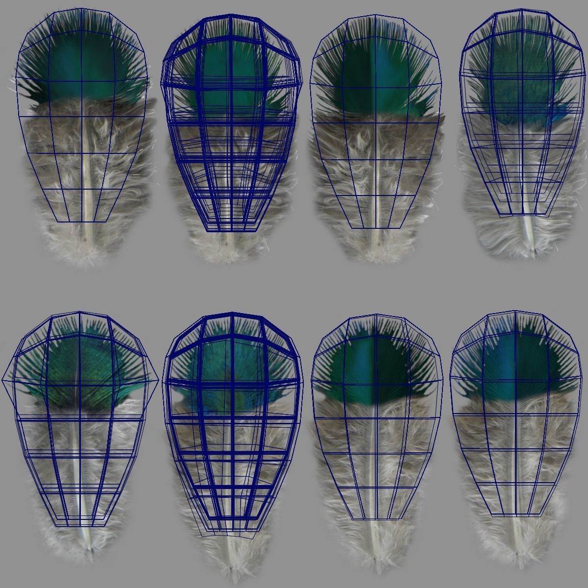 Indian Peafowl Animated VFX Grace 3D model_54