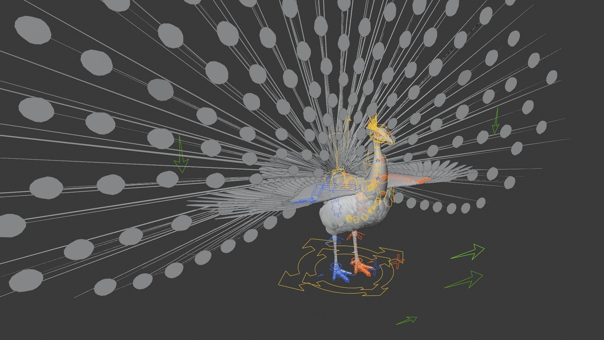 Indian Peafowl Animated VFX Grace 3D model_20