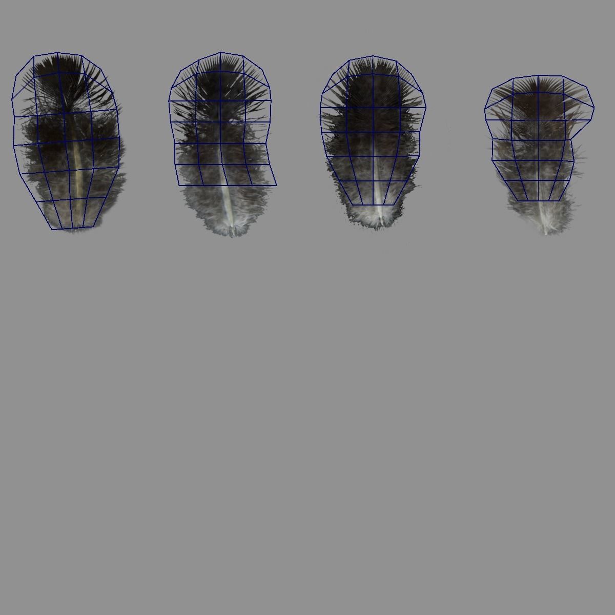 Indian Peafowl Animated VFX Grace 3D model_47