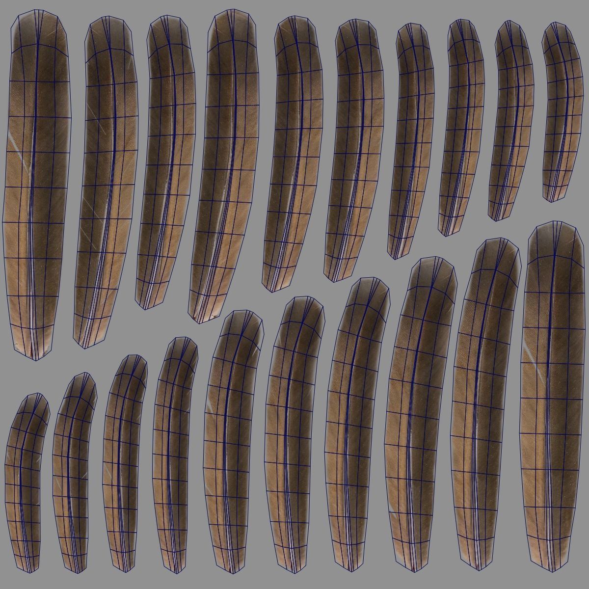 Indian Peafowl Animated VFX Grace 3D model_56