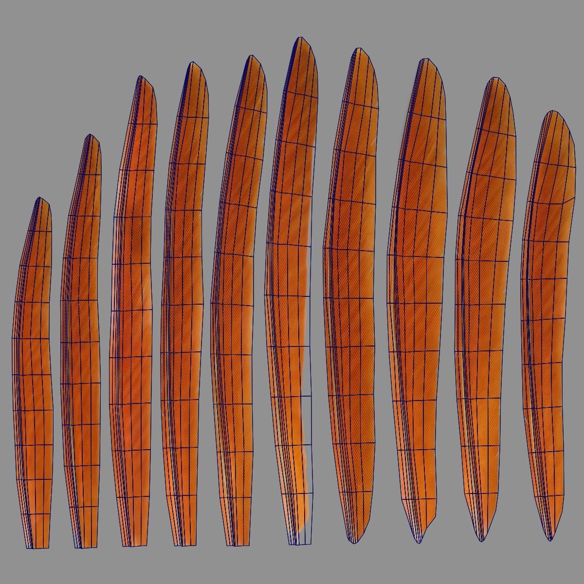 Indian Peafowl Animated VFX Grace 3D model_53