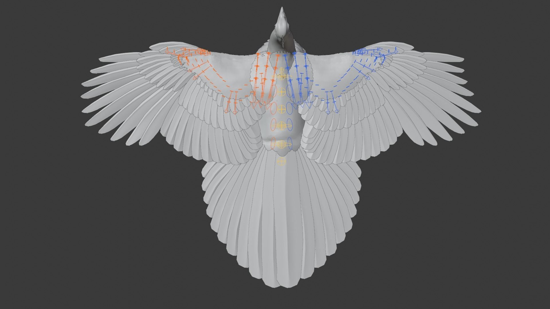 Indian Peafowl Animated VFX Grace 3D model_24