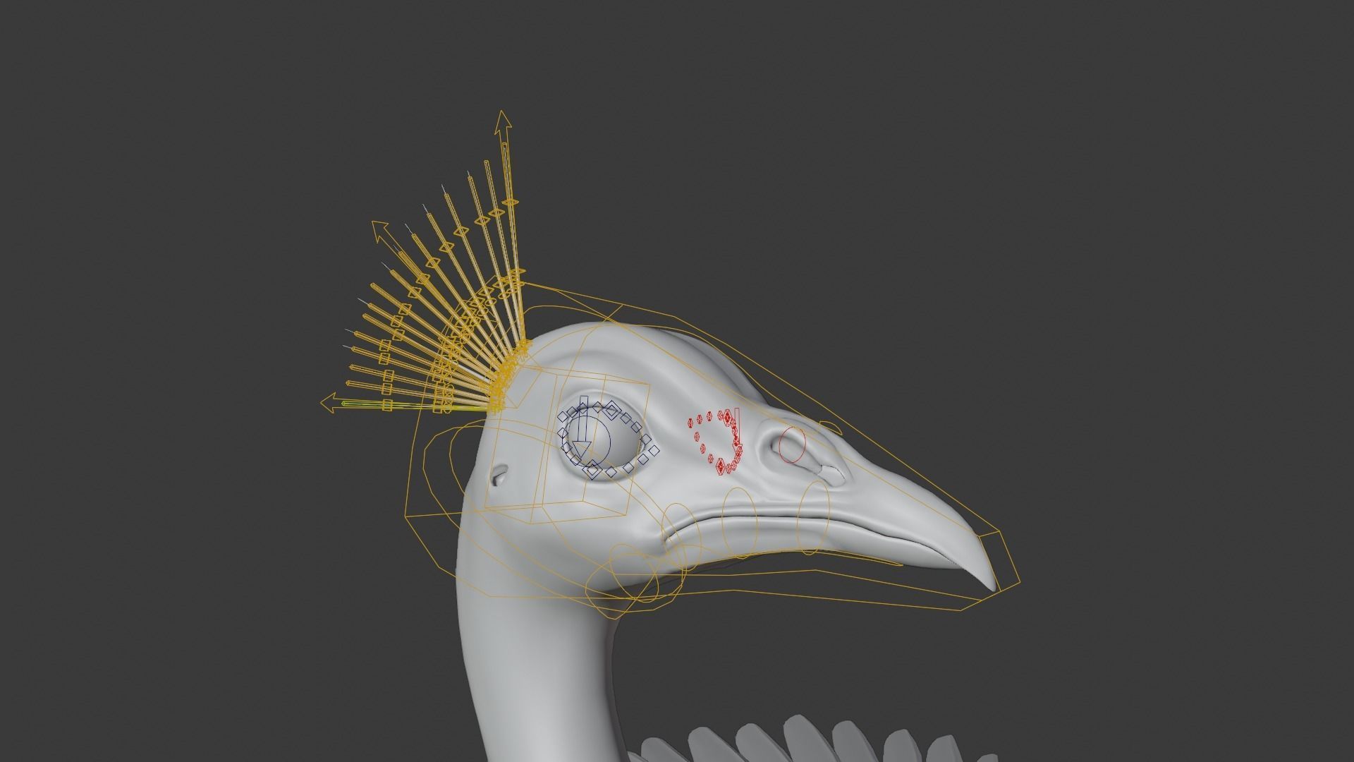 Indian Peafowl Animated VFX Grace 3D model_27