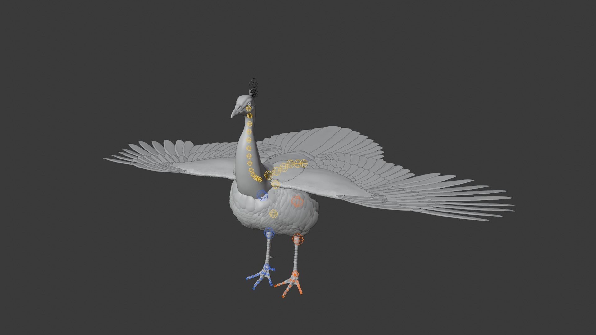 Indian Peafowl Animated VFX Grace 3D model_25