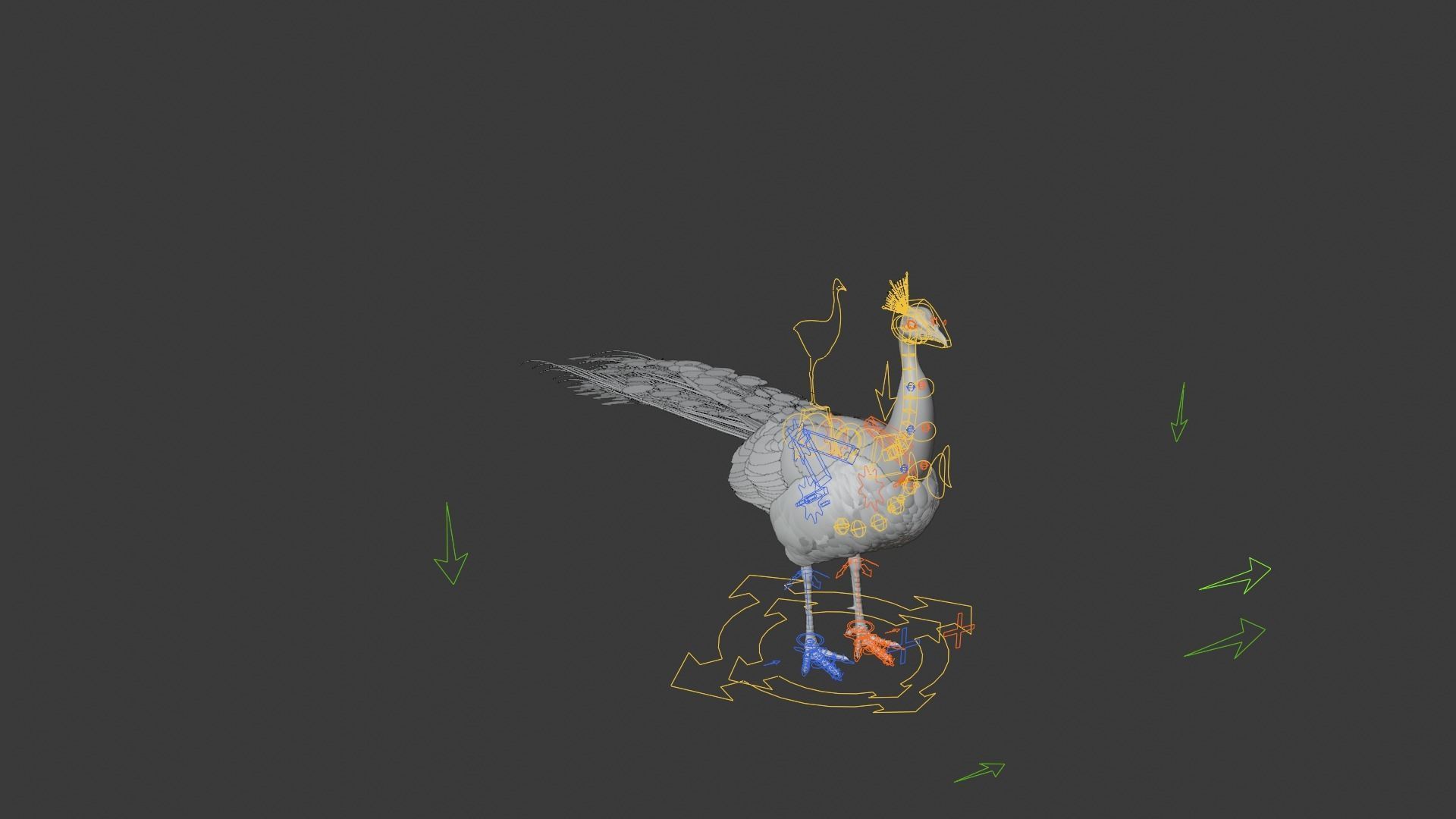 Indian Peafowl Animated VFX Grace 3D model_21
