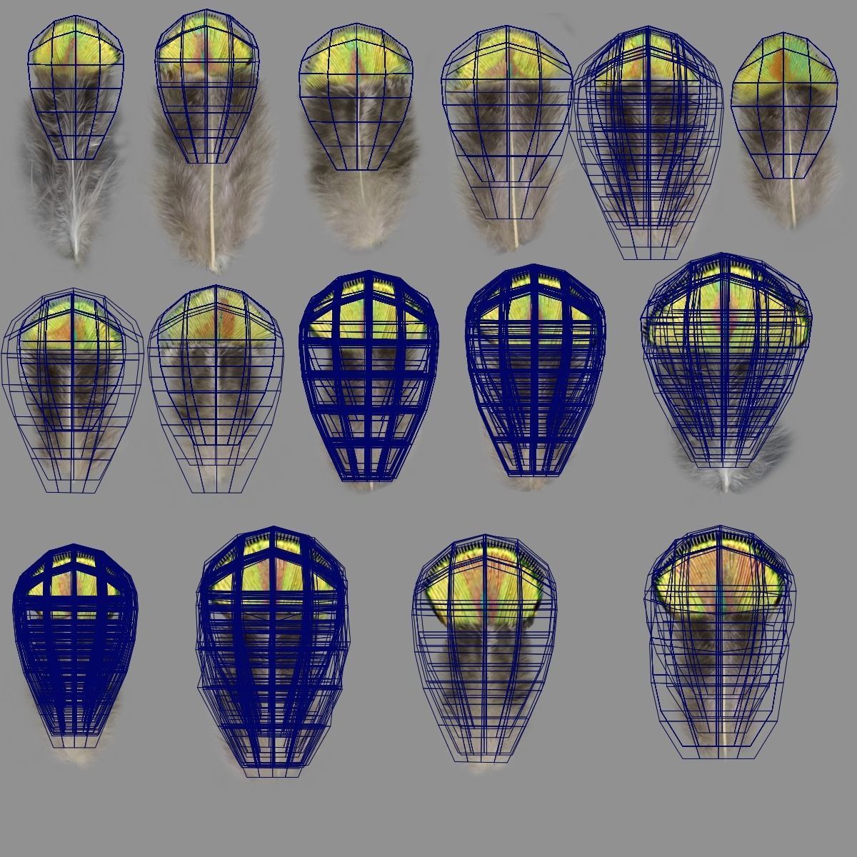 Indian Peafowl Animated VFX Grace 3D model_52