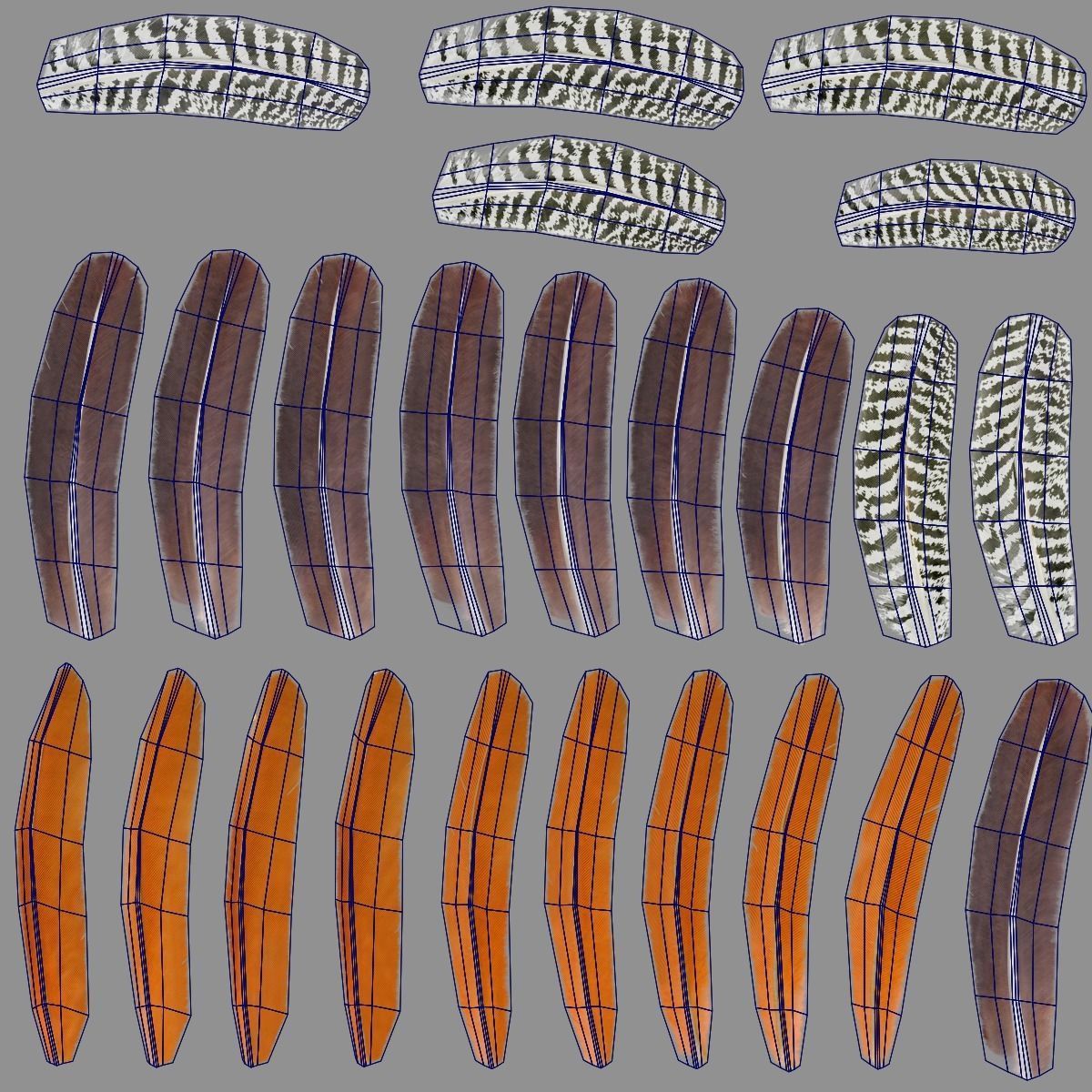 Indian Peafowl Animated VFX Grace 3D model_50