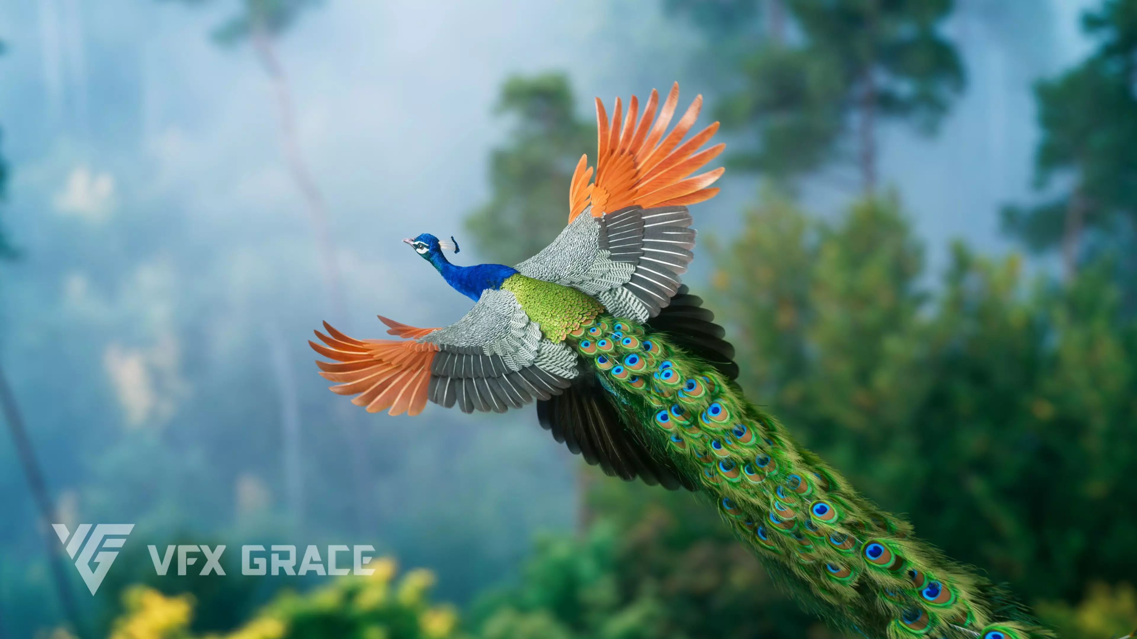 Indian Peafowl Animated VFX Grace 3D model_0