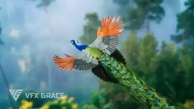 Indian Peafowl Animated VFX Grace 3D model