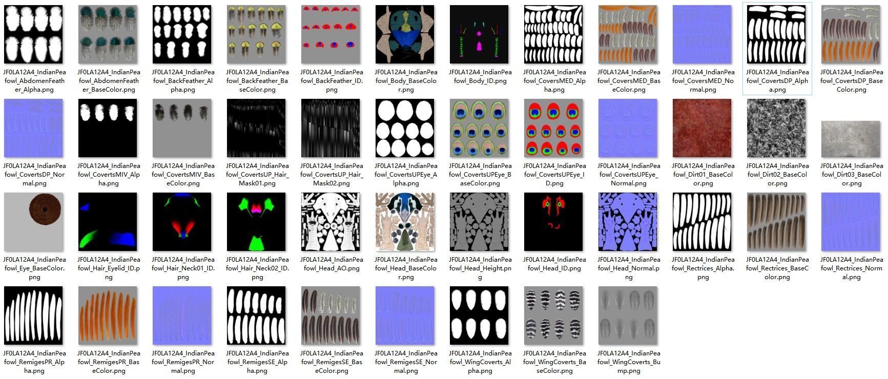 Indian Peafowl Animated VFX Grace 3D model_43