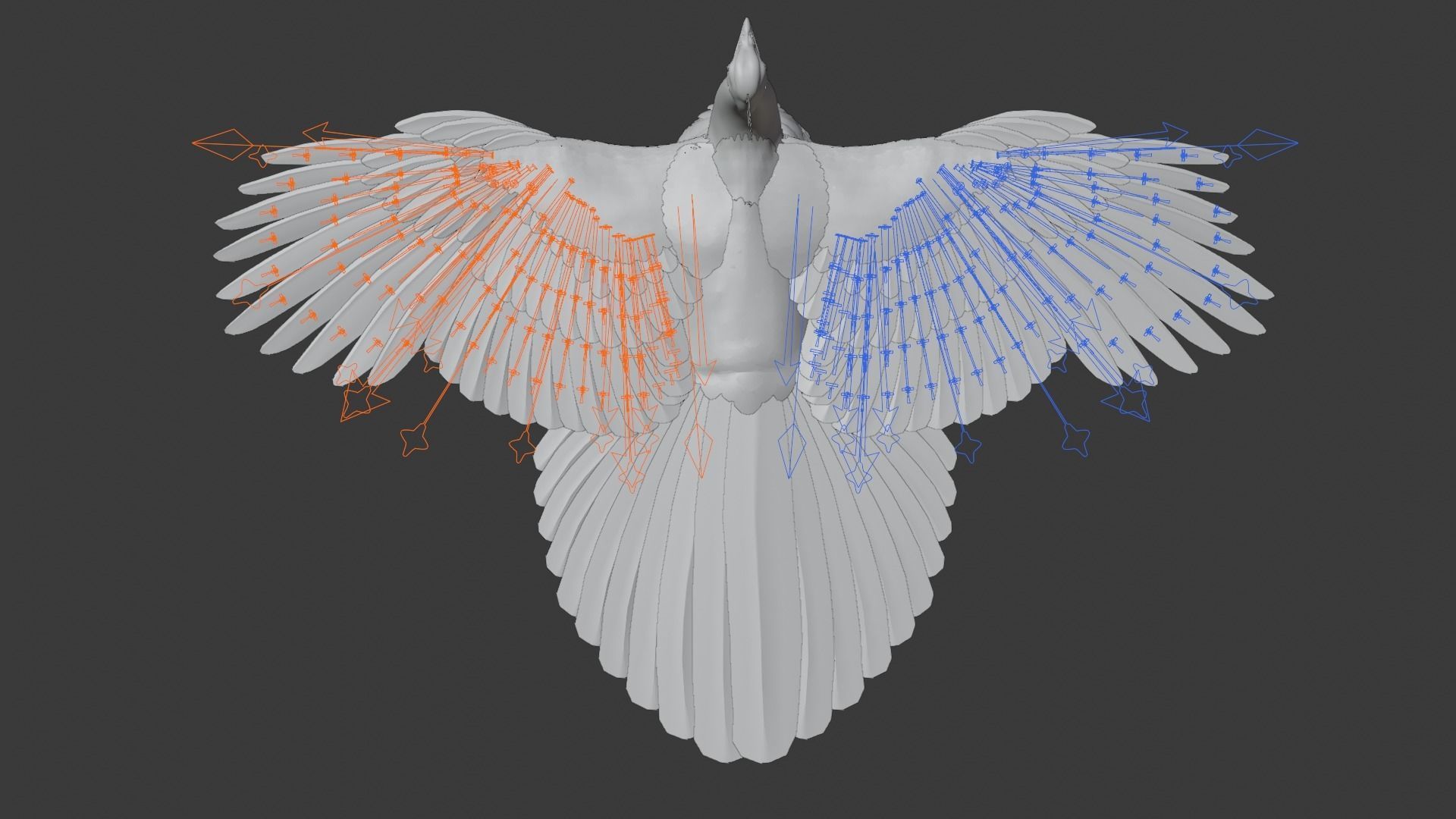 Indian Peafowl Animated VFX Grace 3D model_22