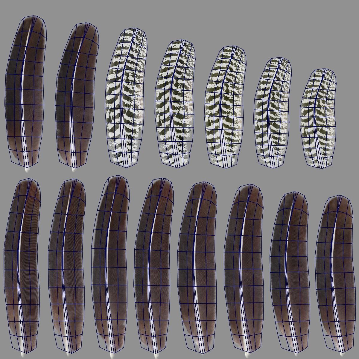 Indian Peafowl Animated VFX Grace 3D model_48