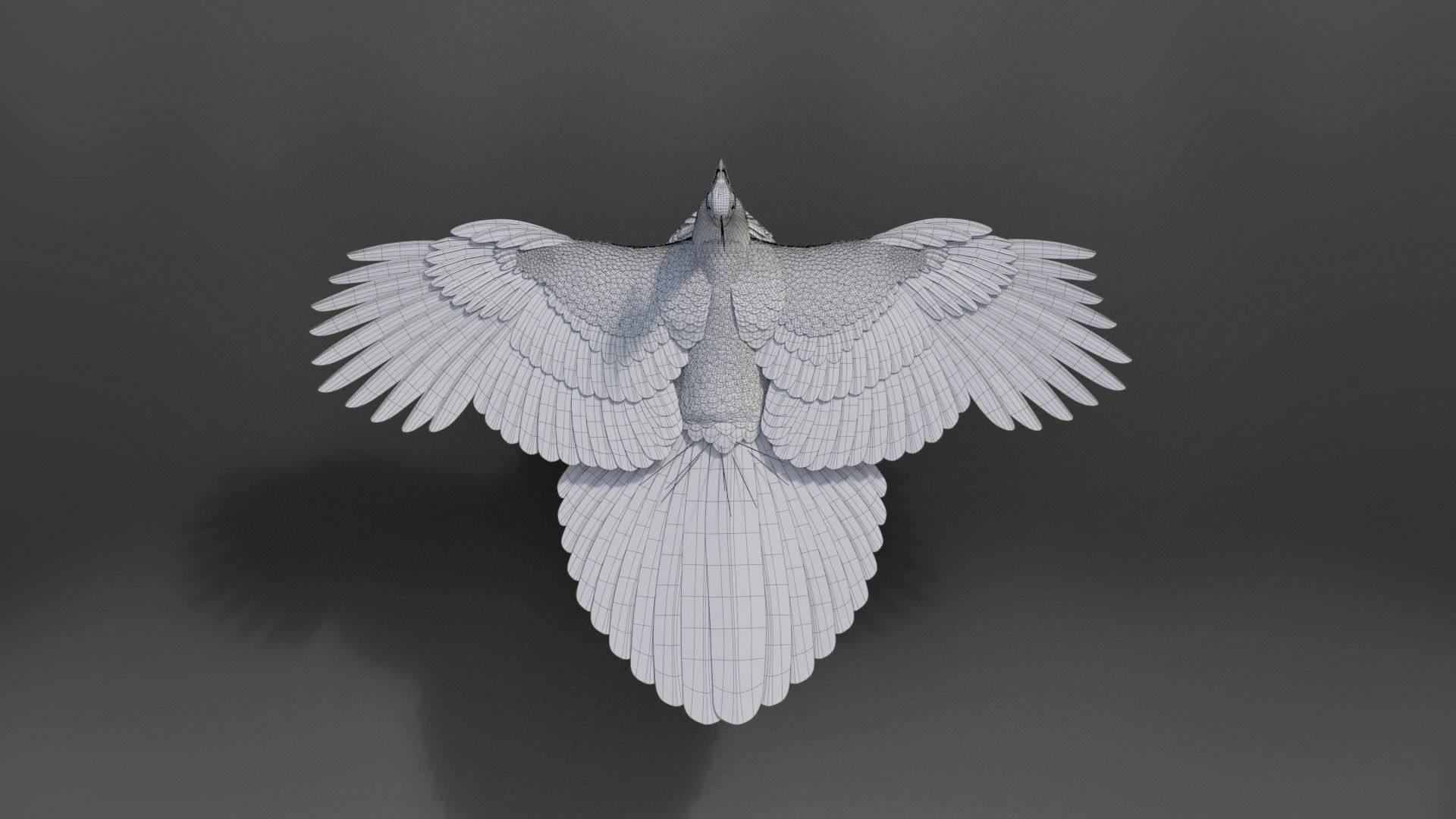 Indian Peafowl Animated VFX Grace 3D model_41