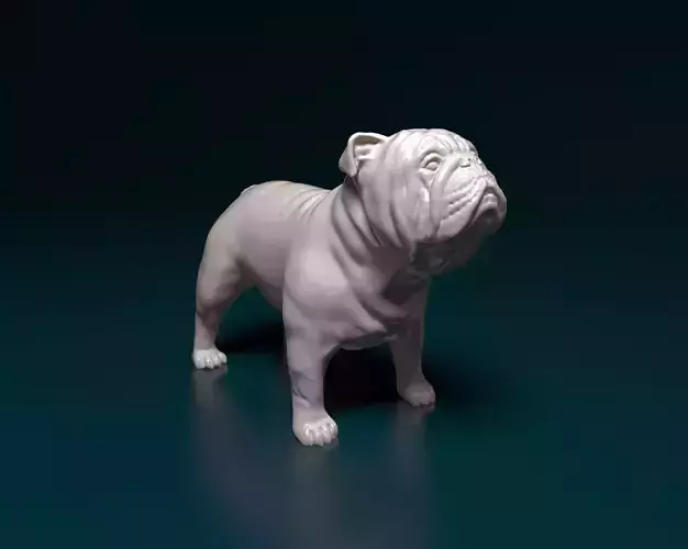 English Bulldog 3D print model
