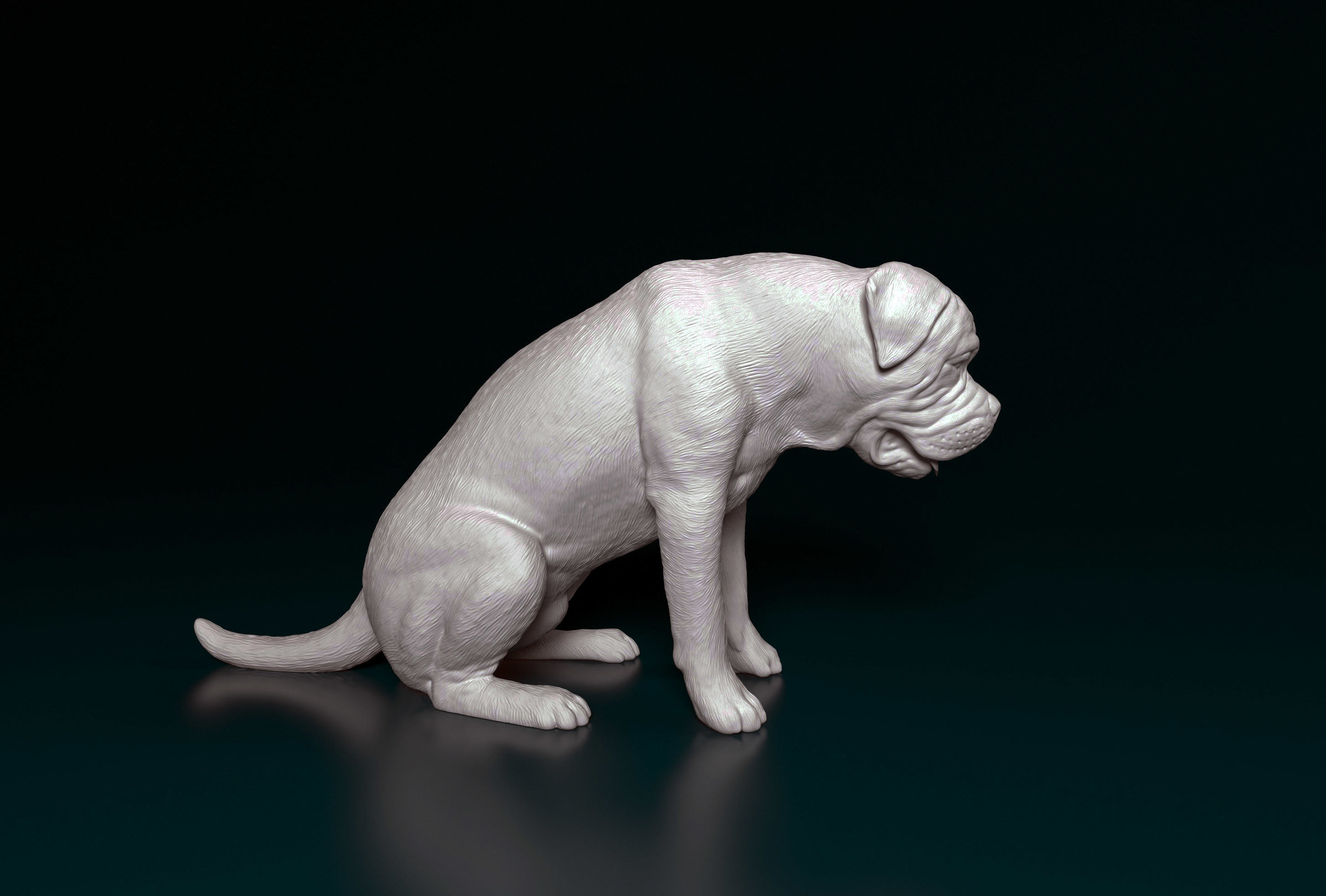 Bullmastiff dog 3D print model_10