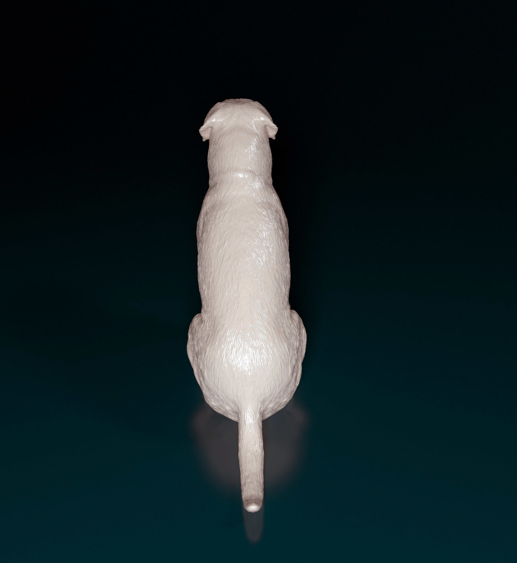 Bullmastiff dog 3D print model_3