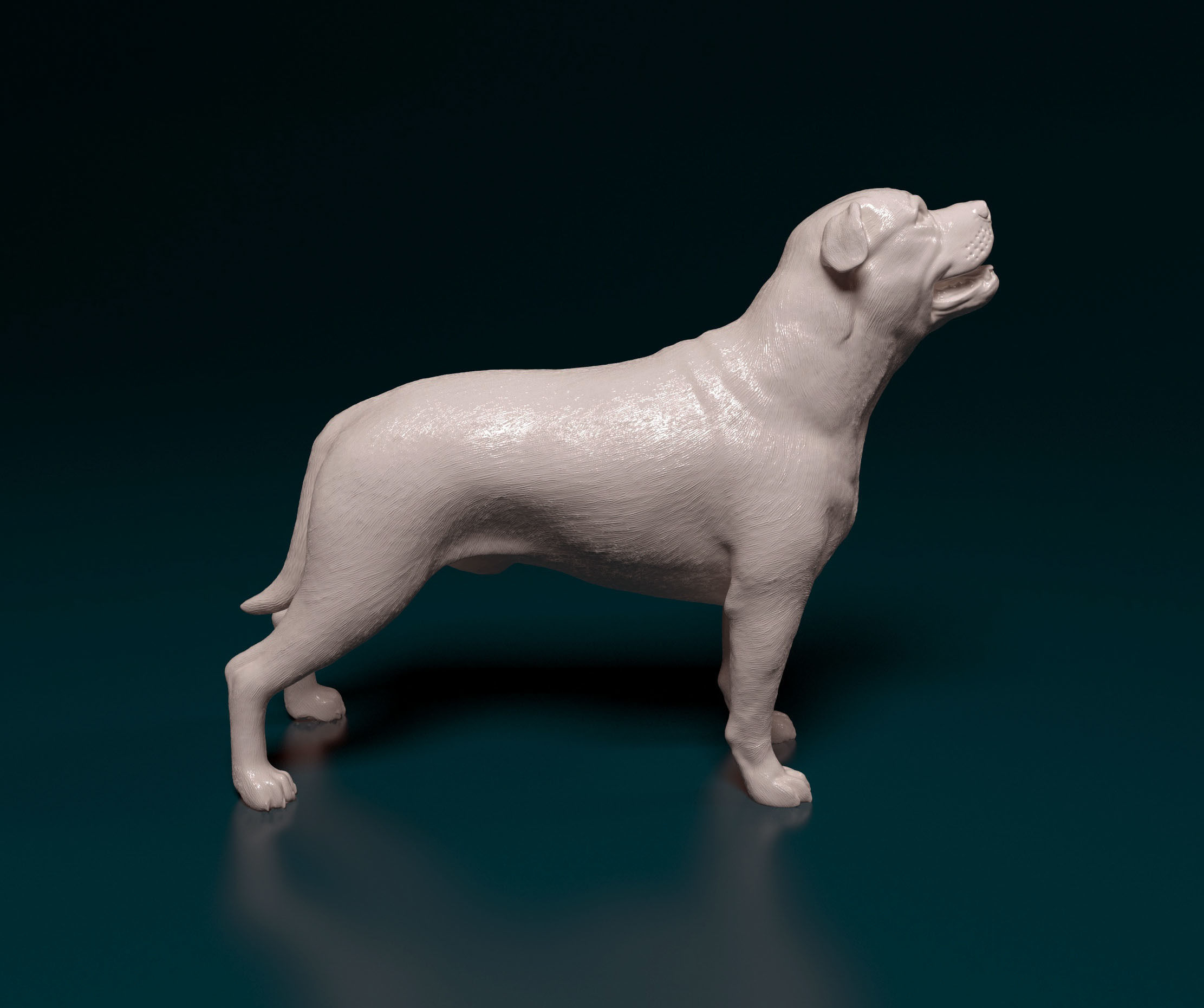 Ca de bou 3D print model_1