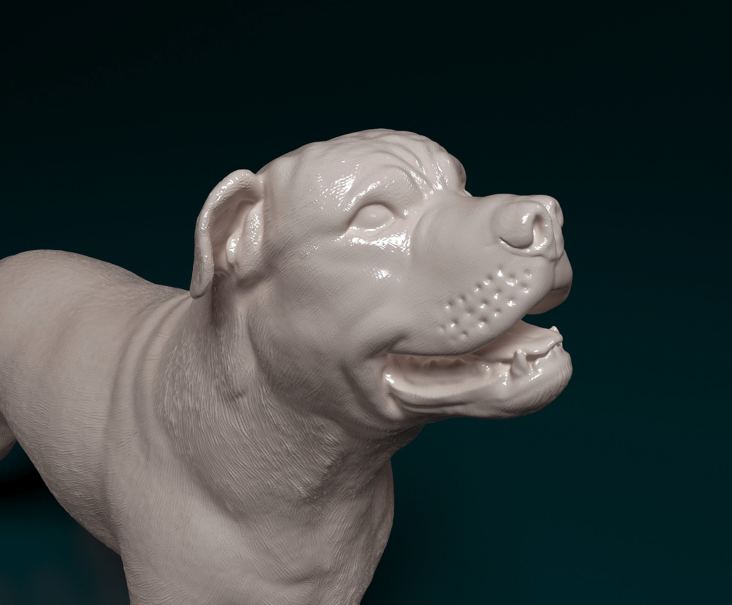 Ca de bou 3D print model_6