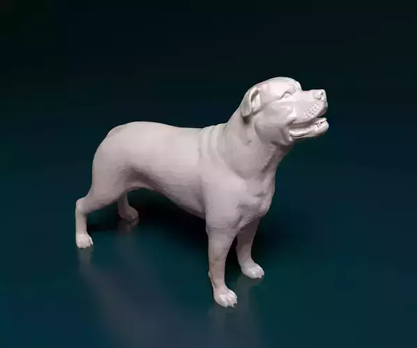 Ca de bou 3D print model