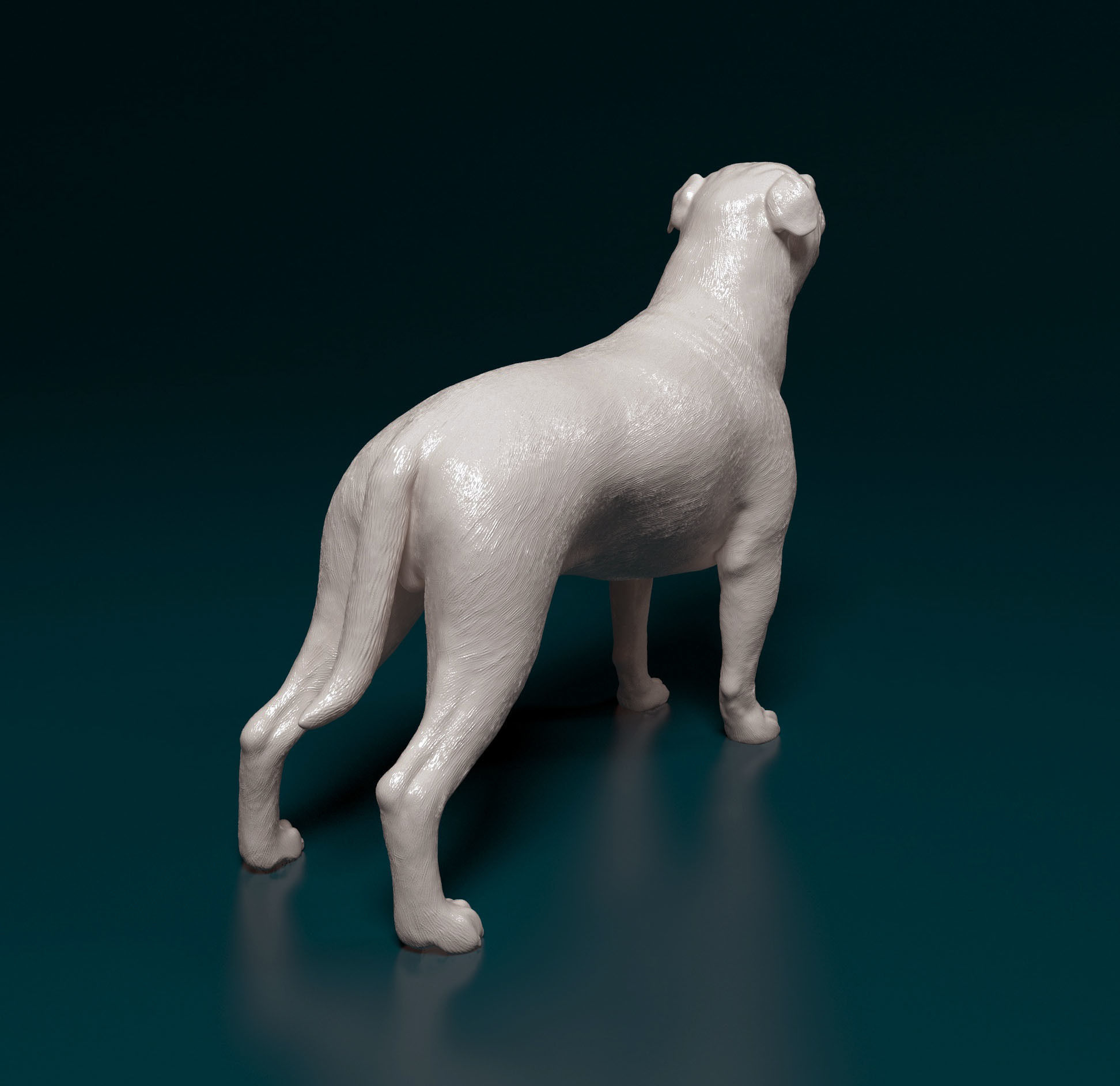 Ca de bou 3D print model_2