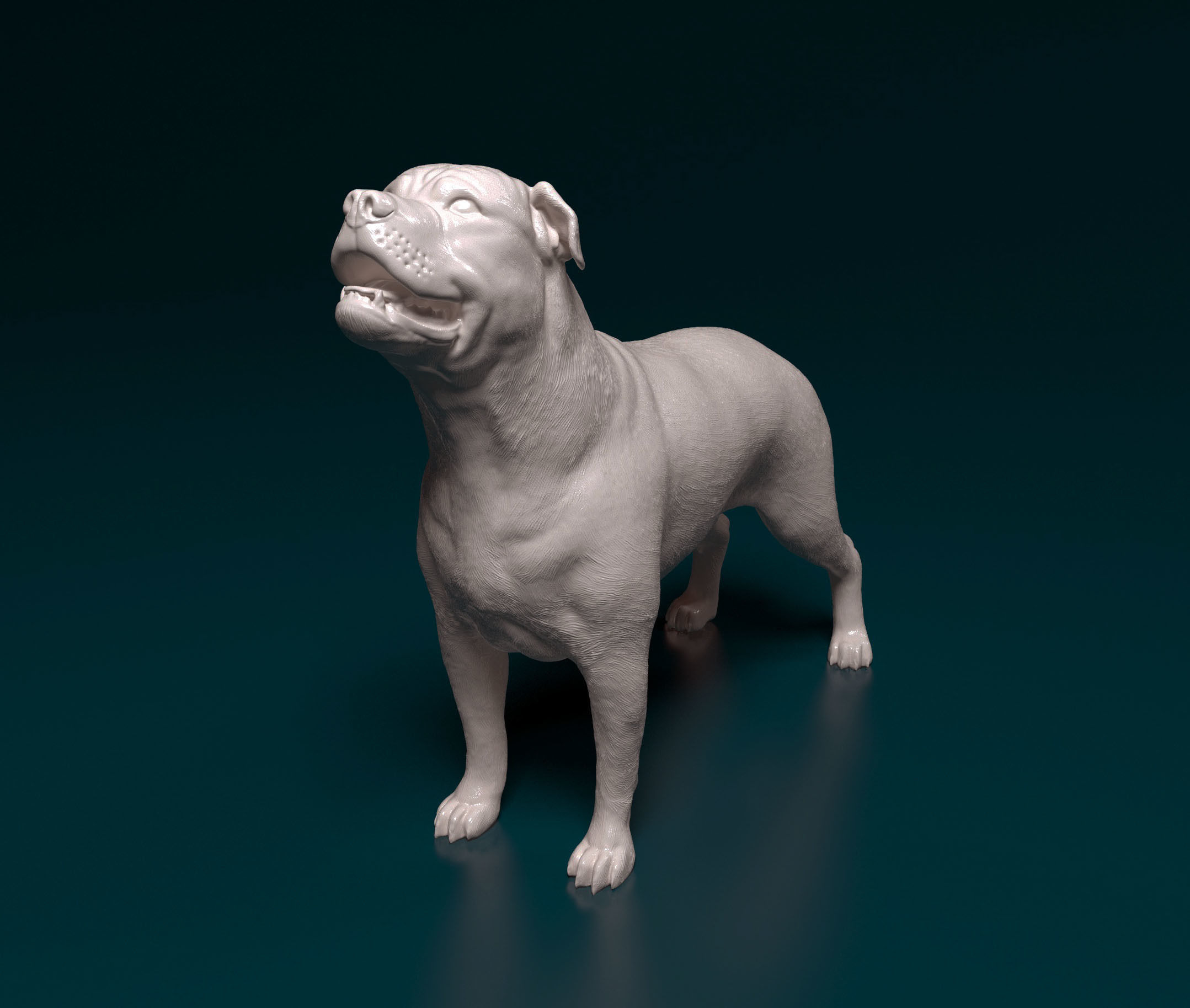 Ca de bou 3D print model_5