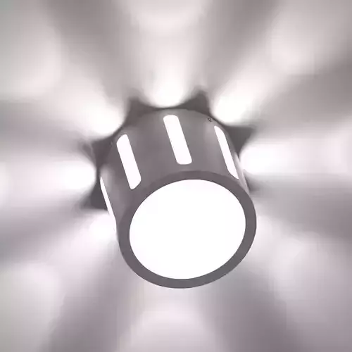 Ceiling Lamp