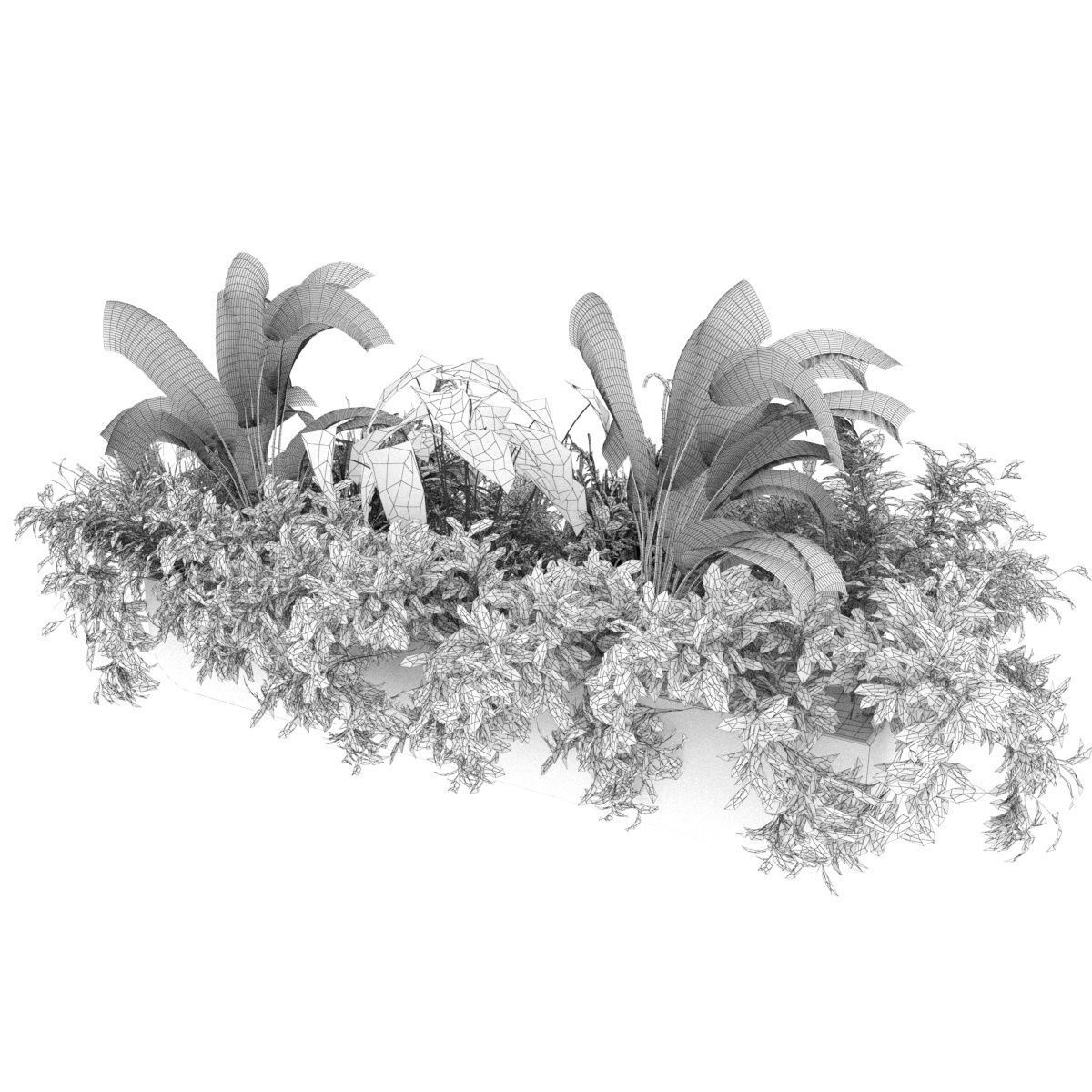 Collection plant vol 325 - indoor - banana 3D model_4