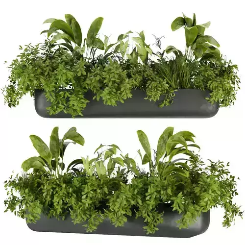 Collection plant vol 325 - indoor - banana 3D model