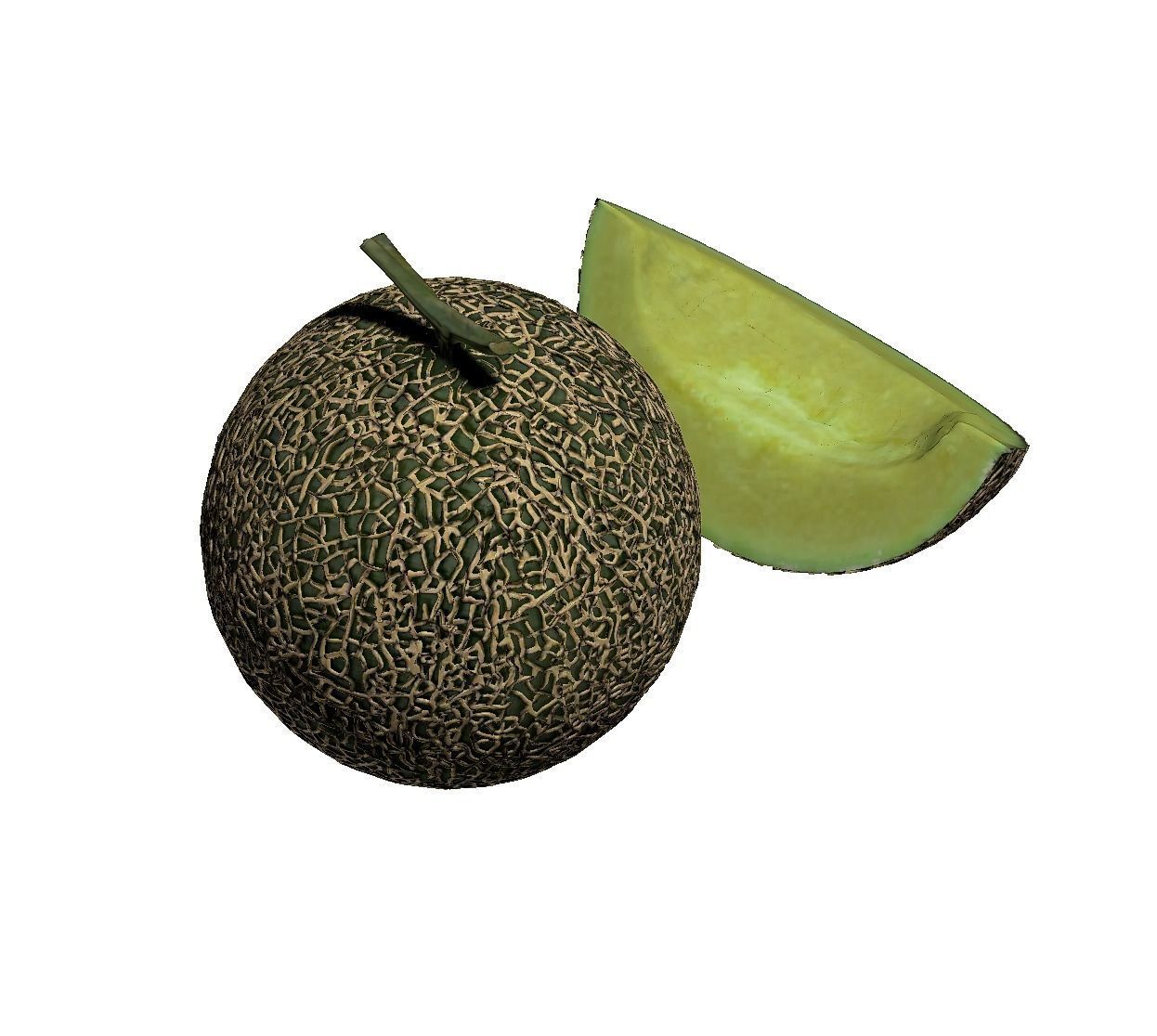 Melon 3D model_3