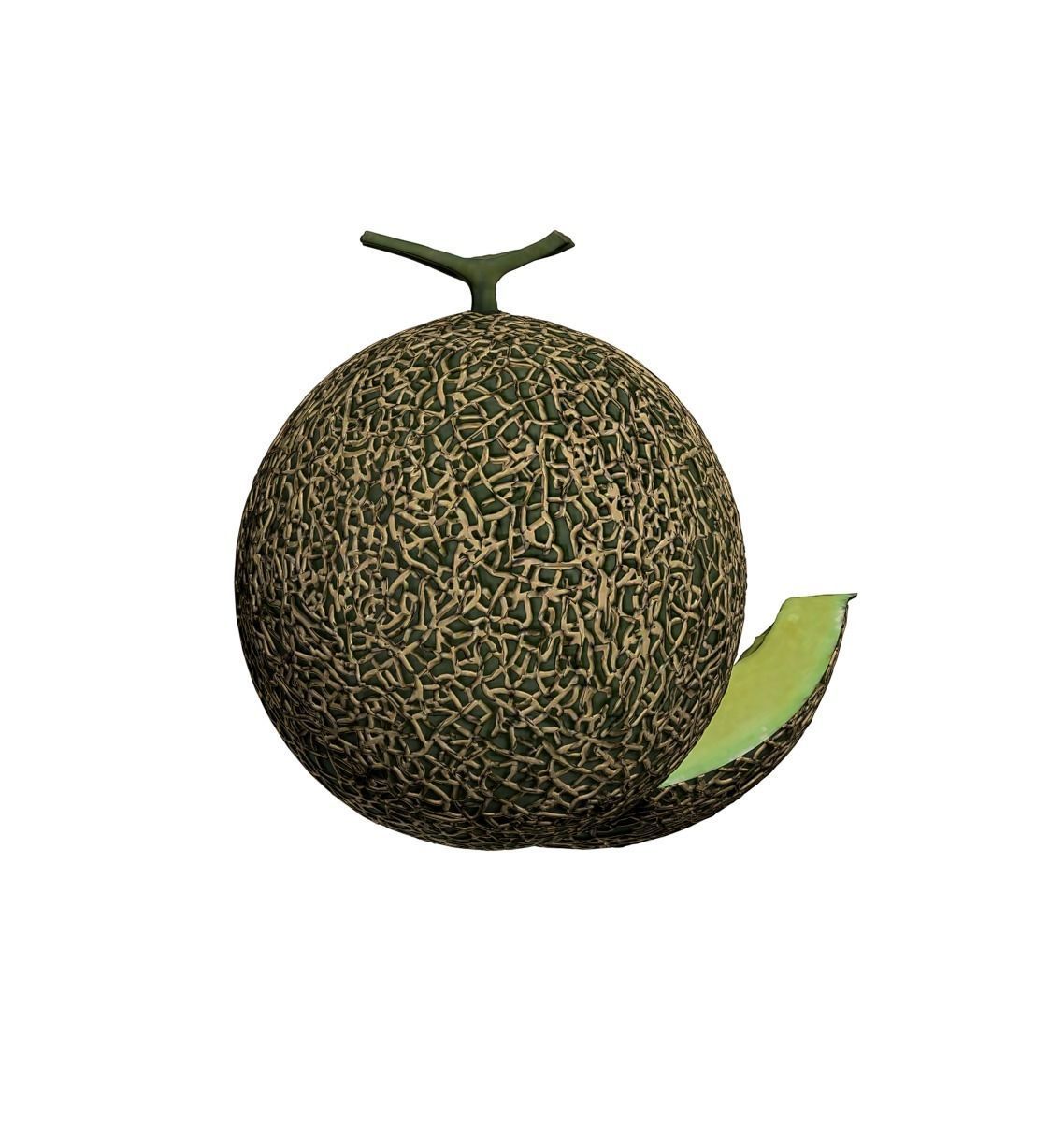 Melon 3D model_2