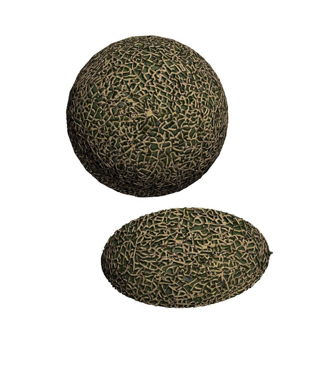 Melon 3D model_4