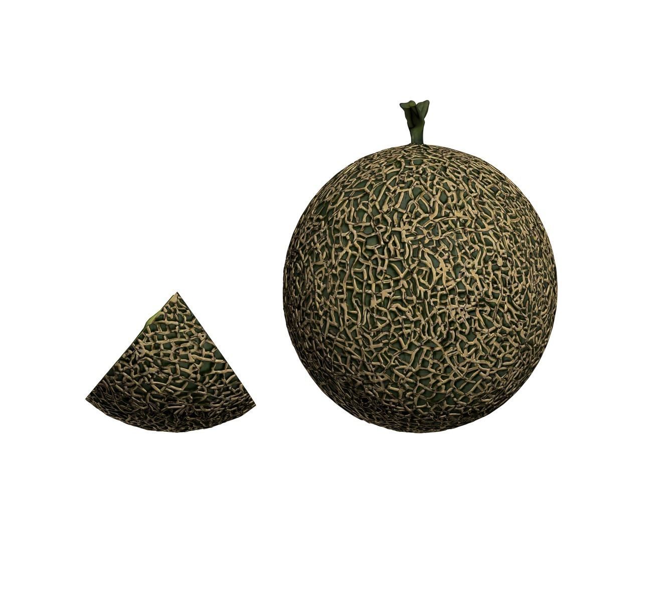 Melon 3D model_1