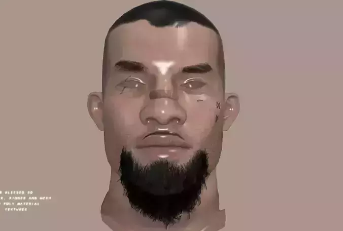 3DBlessed Male Mesh Head LowPoly