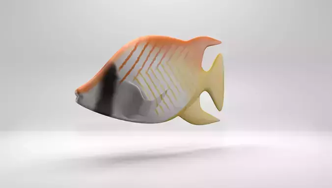 Butterflyfish orange and fish