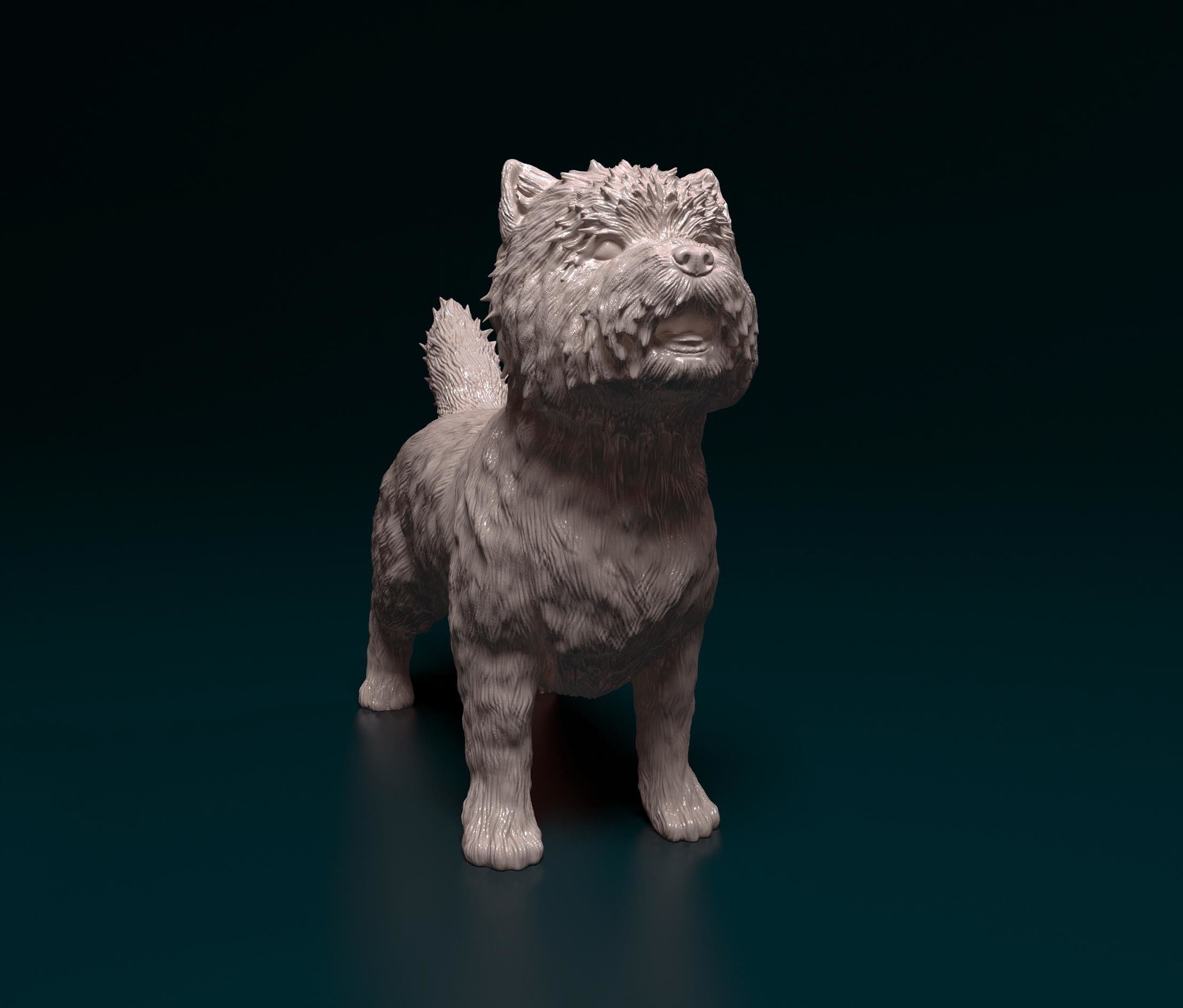Cairn terrier 3D print model_3