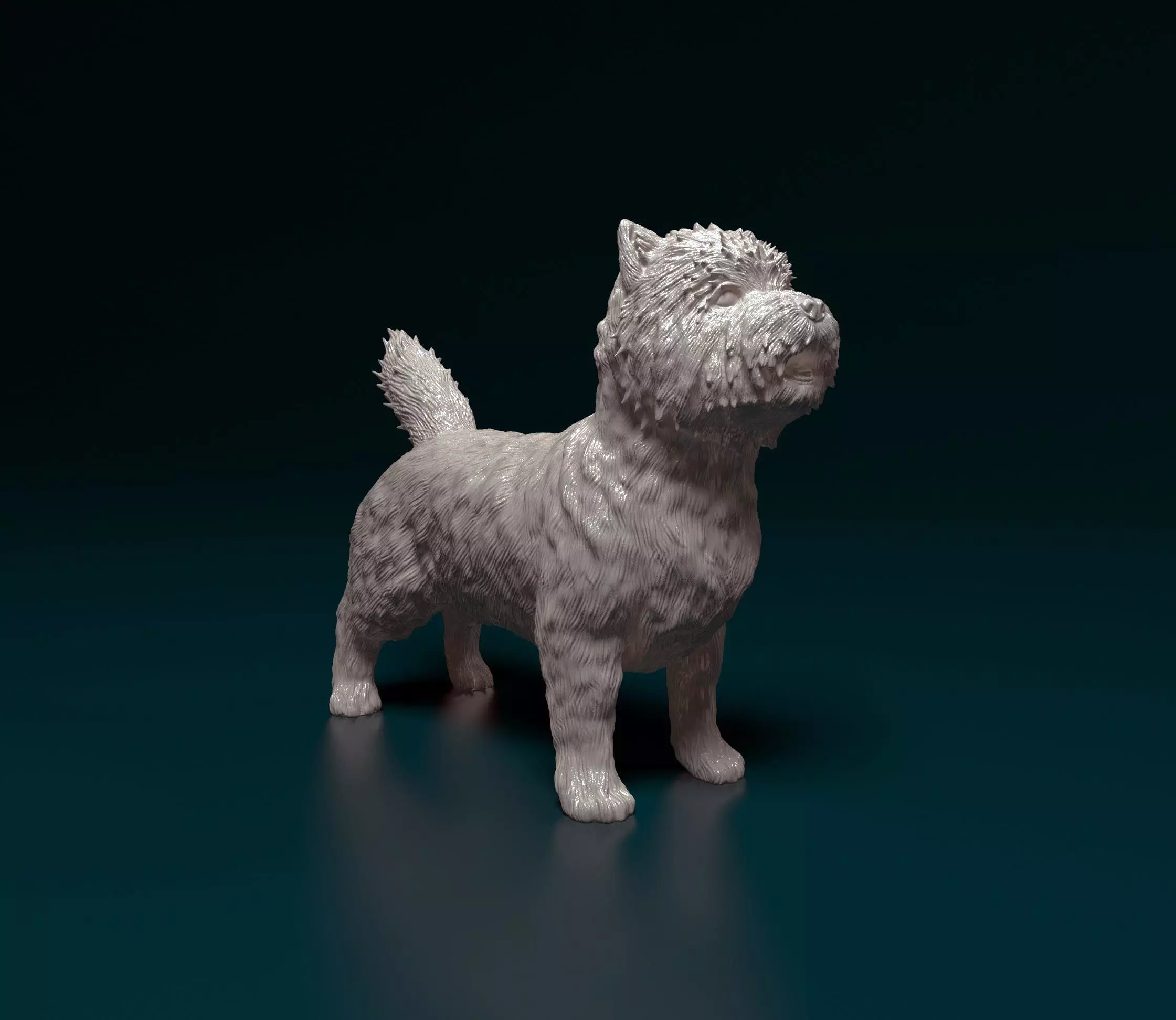 Cairn terrier 3D print model_0