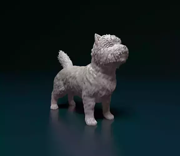 Cairn terrier 3D print model