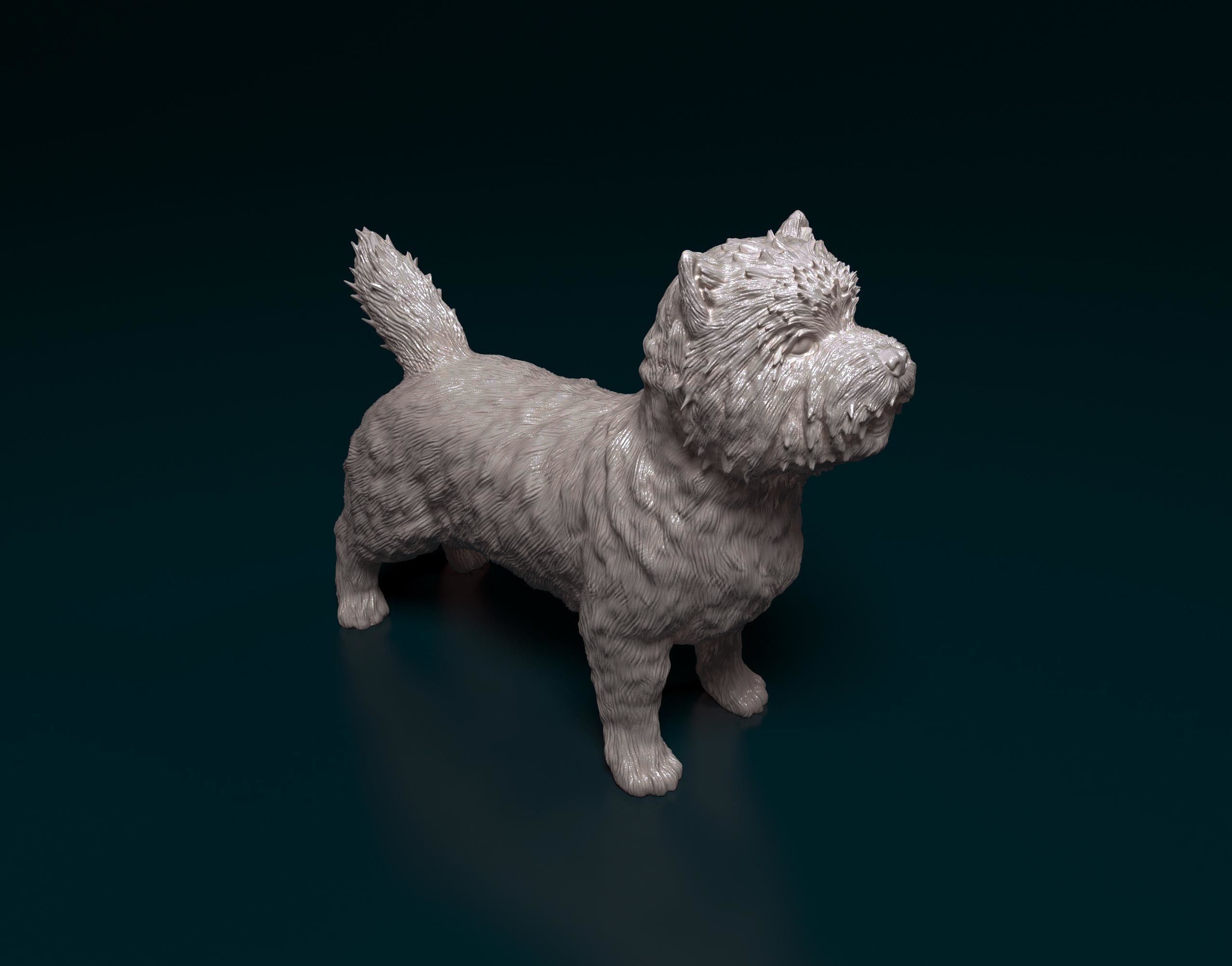 Cairn terrier 3D print model_2