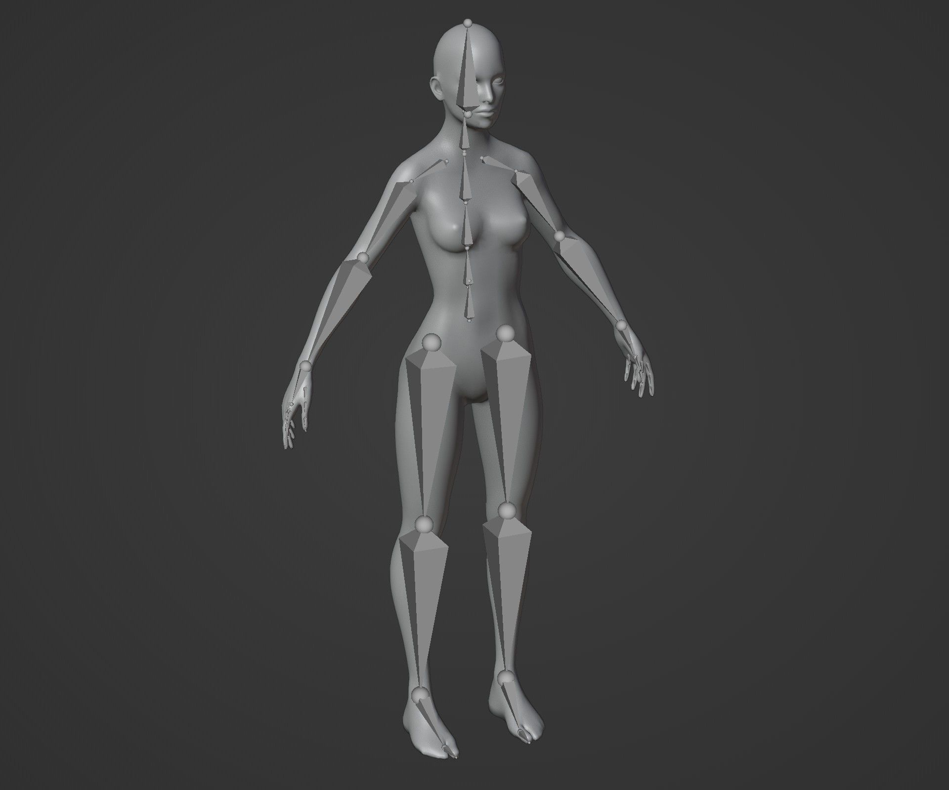 Female Body Base Mesh Animated and Rigged 3D Model 10k Polygons Low-poly 3D model_2
