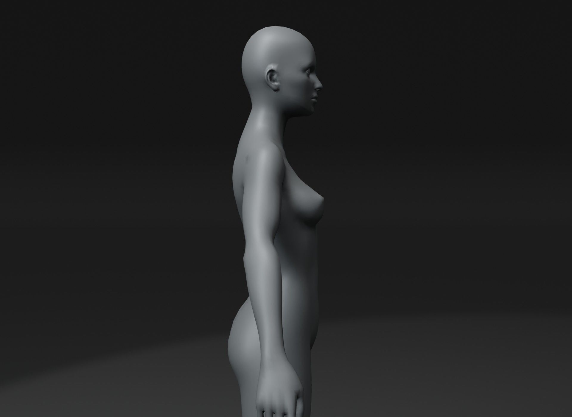 Female Body Base Mesh Animated and Rigged 3D Model 10k Polygons Low-poly 3D model_5
