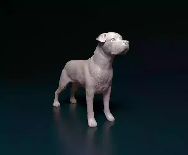 Cane Corso 3D print model