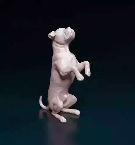 Cane Corso 3D print model