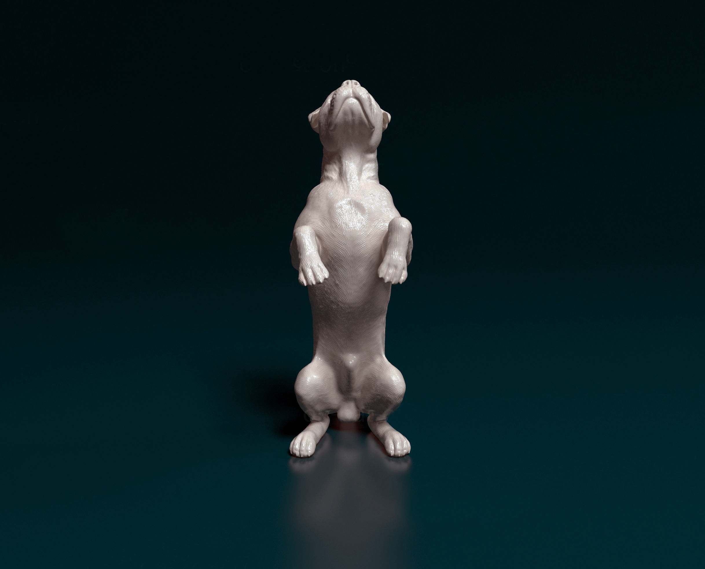 Cane Corso 3D print model_1