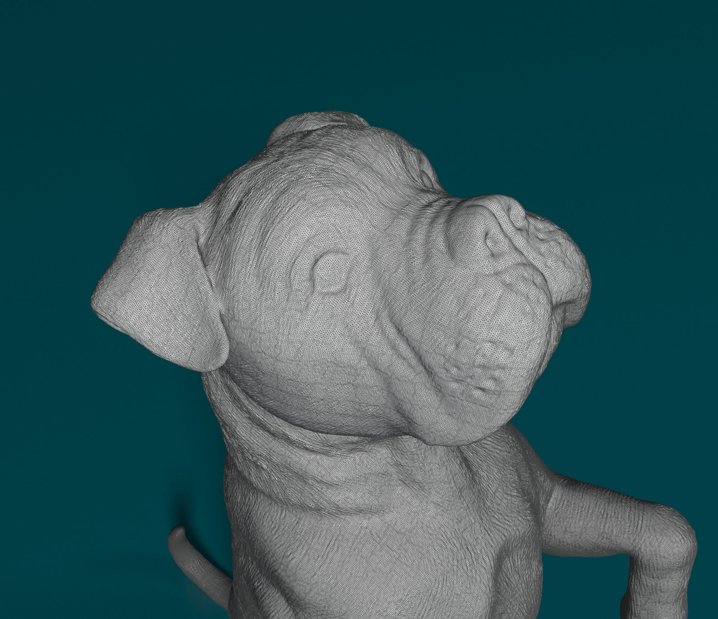 Cane Corso 3D print model_5