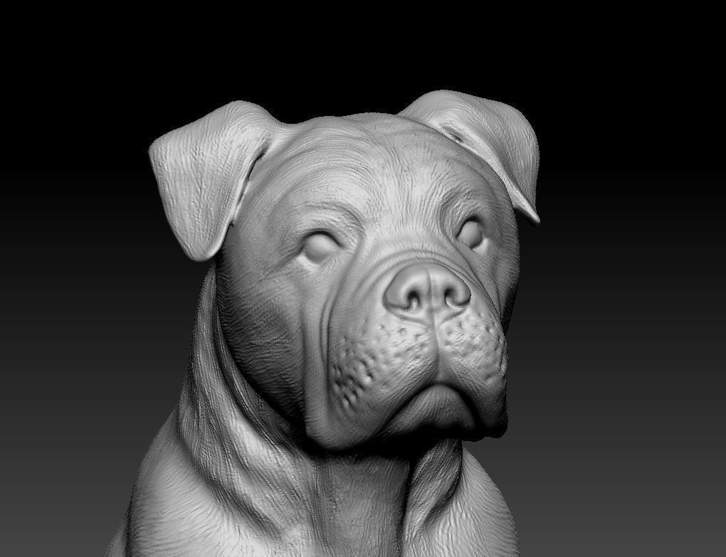 Cane Corso 3D print model_6