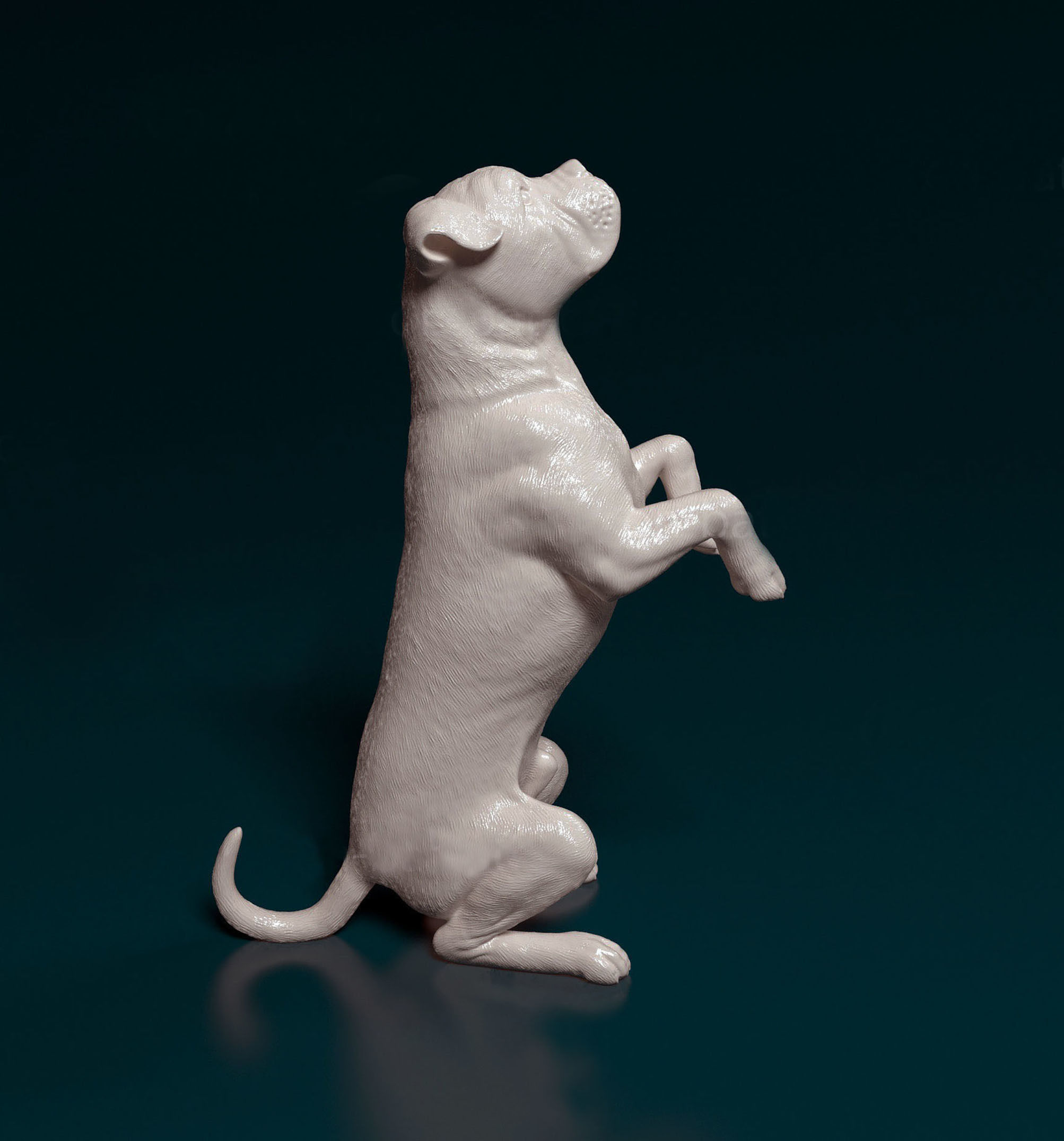 Cane Corso 3D print model_2
