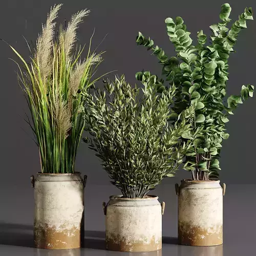 Indoor plant collection 24