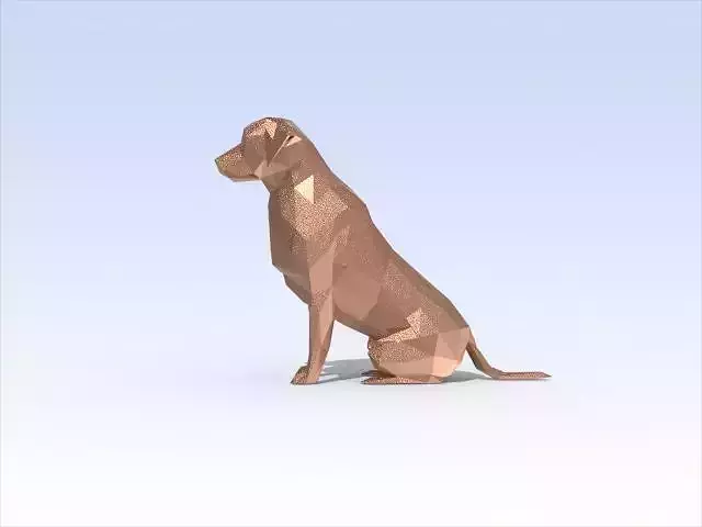 labrador dog sitting Retriever