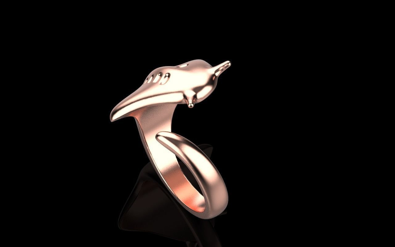 slope fish ring model Z274 3D print model_19